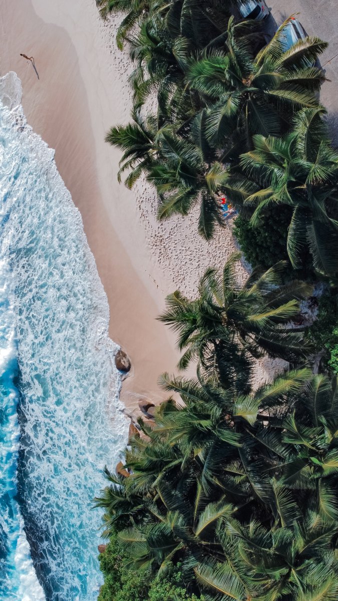 dji_fly_20240329_163332_409_1711715773081_photo_optimized.jpeg