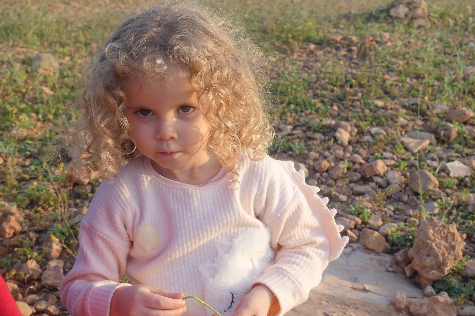 85d50015-aca7-4818-8efb-40c763472365.jpeg